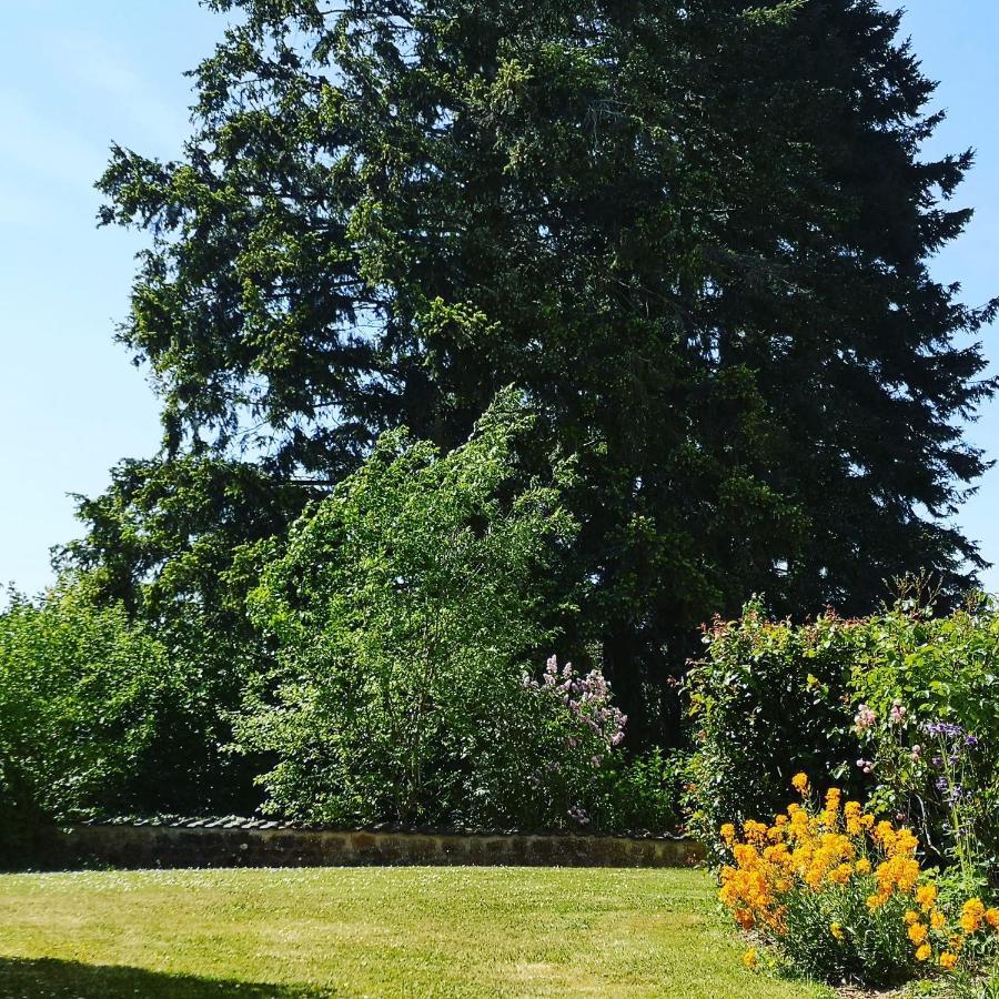 La Maison D'Hotte Revin  Exteriér fotografie